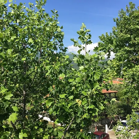 Vaya & Платамонас