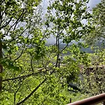 Vaya & Платамонас