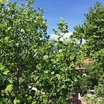 Vaya & Платамонас